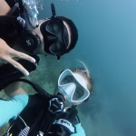 Divers during a Discovery Scuba Dive