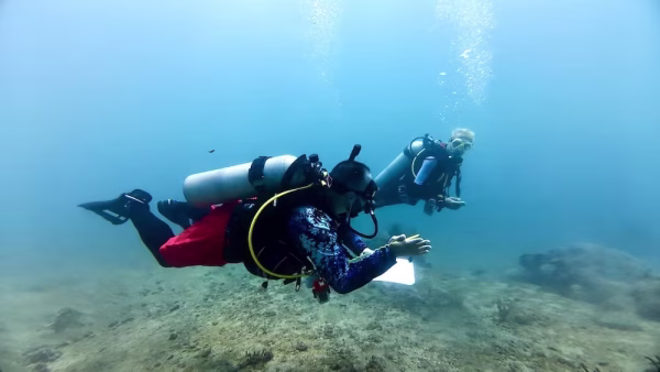 PADI Divemaster Course - Image 3