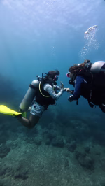 PADI Divemaster Course - Image 2