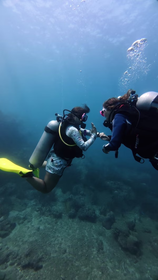 PADI Divemaster Course - Image 2